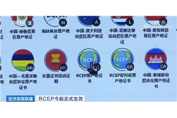 RCEP生效實(shí)施！以后買(mǎi)進(jìn)口汽車(chē)、護(hù)膚品、水果…便宜了！